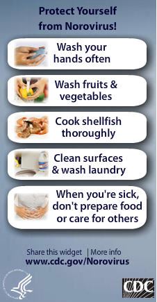 Protect Yourself from Norovirus wash hands, was produce, cook food thoroughly, clean surfaces, do no