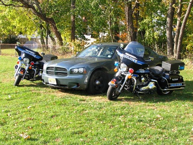 Great police cruiser between two police motorcycles on grass
